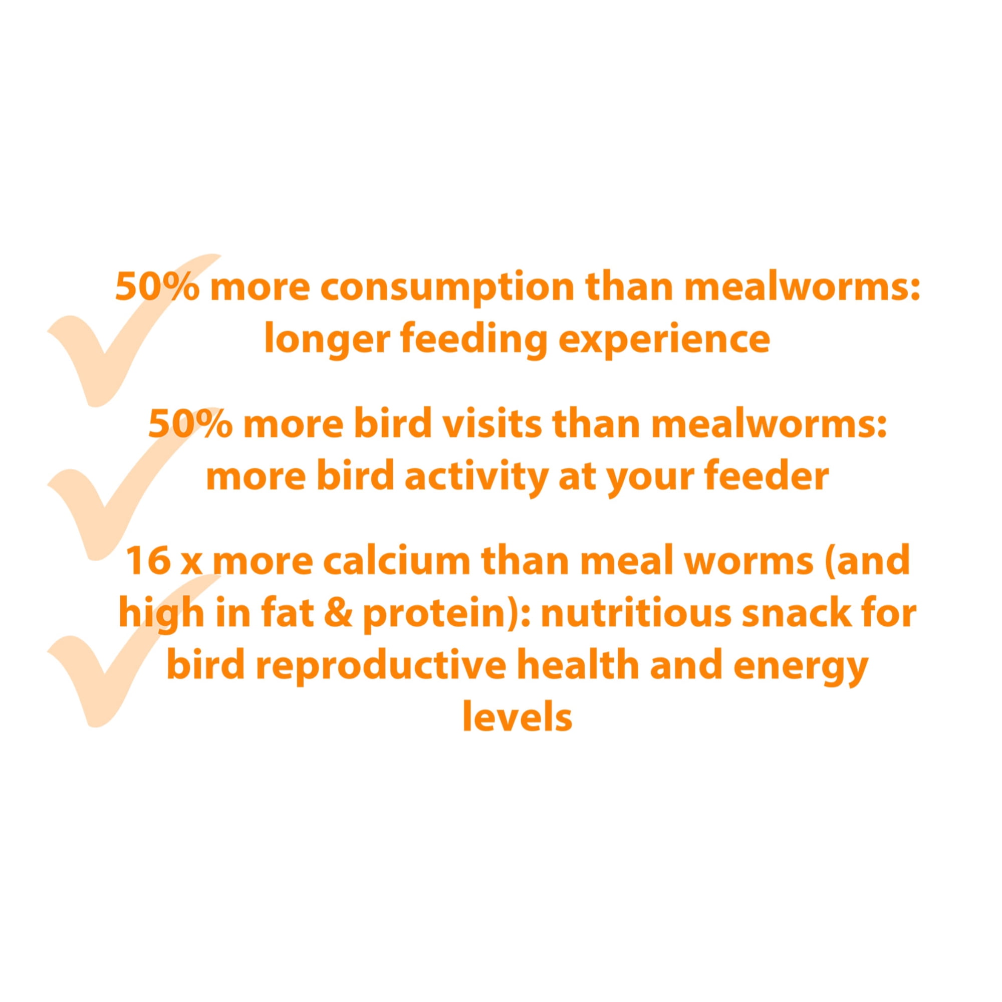 Armstrong Wild Bird Food Mealworm Alternative Bird Grubs, 1.1lbs
