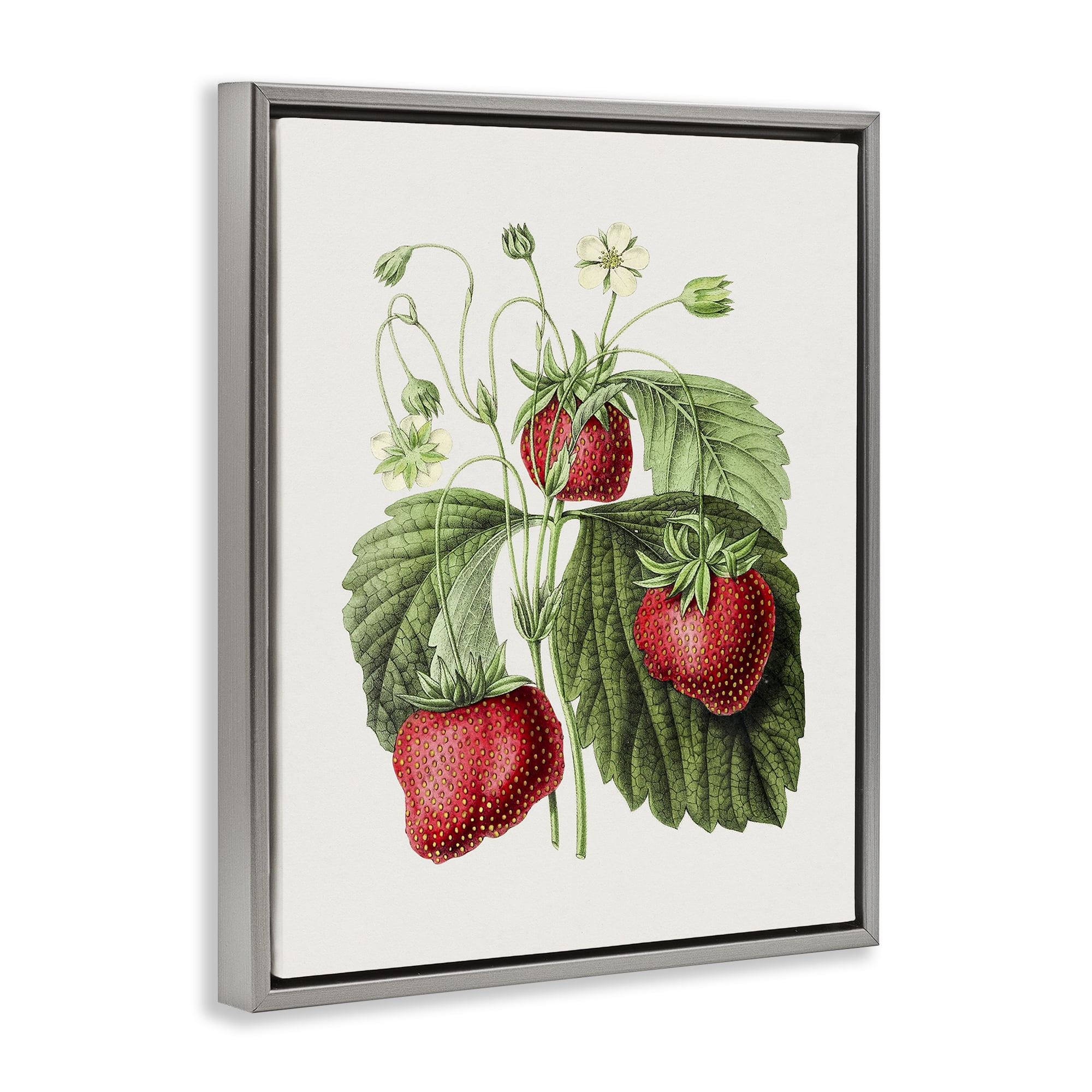 Stupell Industries Vintage Strawberries Study Food & Beverage Painting Gray Floater Framed Art Print Wall Art, 25 x 31
