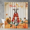 thumbnail image 2 of Happy Thanksgiving Italian Greyhound with Turkey Pumpkins Autumn Vibes Shower Curtain Greyhound Dog Lover Waterproof Bathroom Bathtub Curtain - 12018, 2 of 5