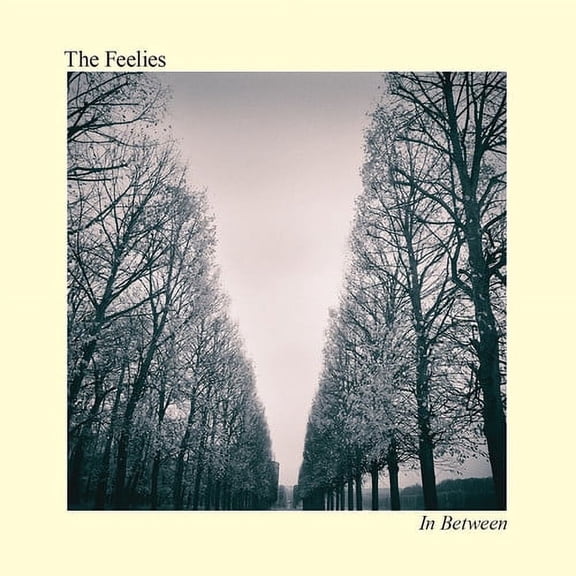 The Feelies - In Between - Music & Performance - CD