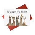 thumbnail image 1 of Tarjeta de cumpleaños Gonzey Llama divertida con amigos alpaca, 1 of 7
