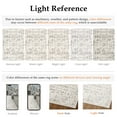 thumbnail image 6 of BERTHMEER 5'x7' Area Rugs for Living Room Rug for Bedroom Kitchen Non Slip Washable Vintage Gray Carpets Oriental Distressed Office Dorm Dining Room Traditional Distressed Throw Rugs, 6 of 7