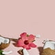 thumbnail image 4 of SheaMoisture Curl and Shine Coconut Shampoo for Curly Hair Coconut and Hibiscus Paraben Free Shampoo 13 oz 2 Count, 4 of 11