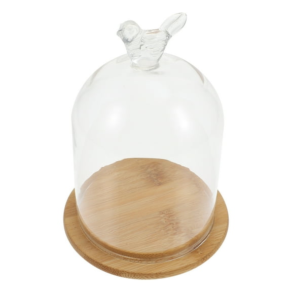 Preserved Flower Glass Cover Terrarium Seashells Display Case Indoor Plants Transparent