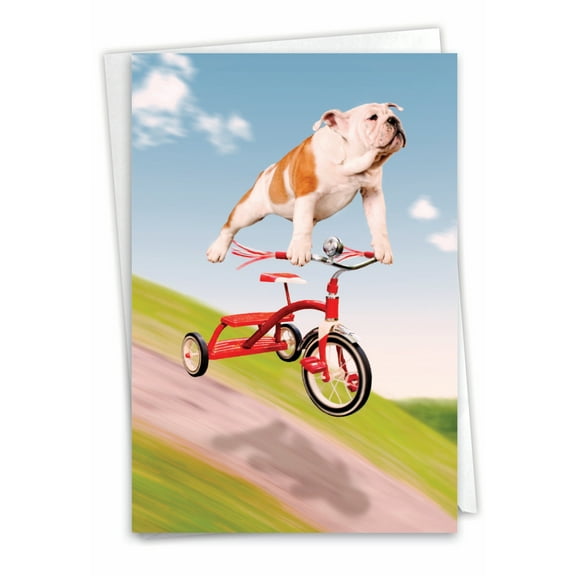 1 Funny Birthday Card with Envelope - Dog On Trike C3204BDG