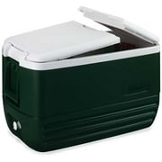 Cool 48-Quart Ice Chest