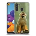 thumbnail image 1 of Head Case Designs Famous Animals Common Squirrel Monkey Soft Gel Case Compatible with Samsung Galaxy A21 (2020), 1 of 7