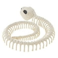 thumbnail image 1 of simhoa Snake Skeleton Horror Halloween Ornament PVC Skeleton Animal Festive Decorations, 1 of 8