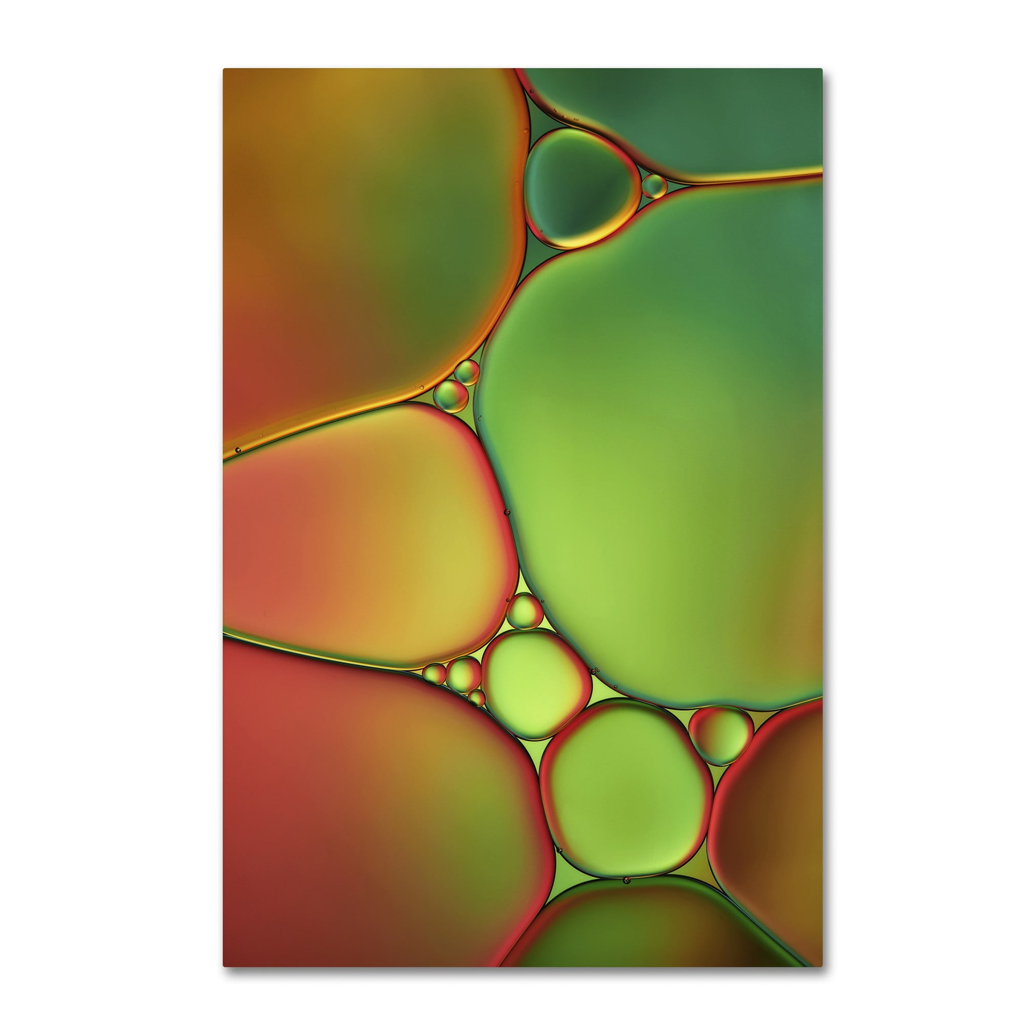 Trademark Fine Art 'Stained Glass II' Canvas Art by Cora Niele