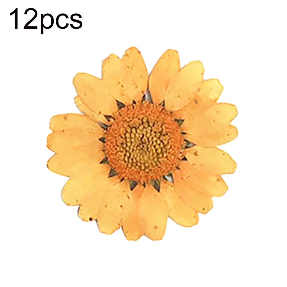 12PCS Pressed Dried Flowers Mini Sunflower Epoxy Resin Art Jewelry Making Craft 