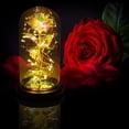 thumbnail image 2 of Mothers Day Rose Gifts For Mom,Birthday Gifts For Women,Colorful Rainbow Light Up Rose In A Glass Dome,Rose Flower Gifts For Her,Anniversary,Wedding Gift, 2 of 2