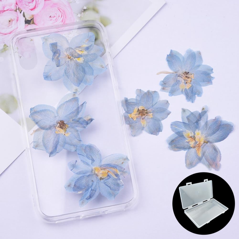 5 PACK Small Clear Box with Lid, Rectangle Clear Plastic Boxes, Dried Flower Storage, for Collecting Craft Items, Jewelry, and Other Small Accessories(6.34 x 3.23 x 0.63 Inch)