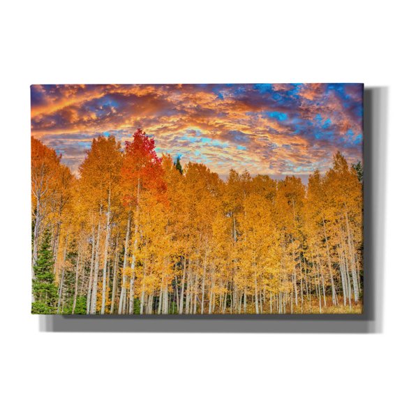 Epic Graffiti 'Wyoming Autumn Aspens' by Mark A Paulda, Canvas Wall Art, 26"x18"