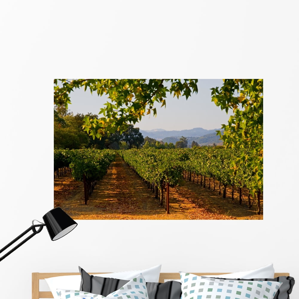 Napa Valley Vineyard California Wall Mural by Wallmonkeys Peel and