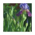 thumbnail image 1 of Iris in Monochrome - Canvas, 1 of 10
