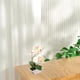 thumbnail image 5 of Flor de seda Artificial, phalaenopsis de doble punta, maceta falsa, decoración de paisaje, planta artificial en maceta, planta verde, 5 of 5