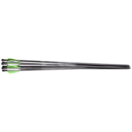 Benjamin AB6PKA Pioneer Arrows Universal Silver