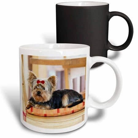 Terrier Dog Mug (3dRose Yorkie. Yorkshire Terrier. Cute puppy with red bow. Playful dog. - Magic Transforming Mug,)