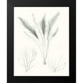 thumbnail image 2 of Vision Studio 20x24 Black Modern Framed Museum Art Print Titled - Sage Green Seaweed VIII, 2 of 5