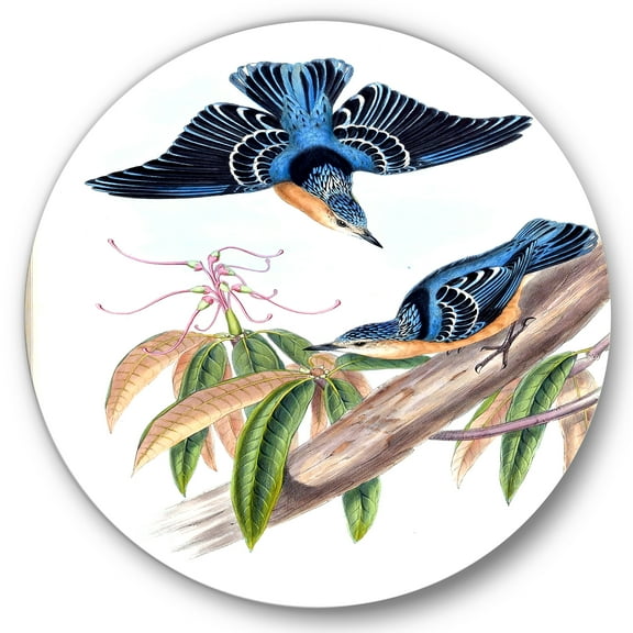 Designart 'Vintage Countryside Birds On Branch V' Farmhouse Circle Metal Wall Art 36x36 - Disc of 36