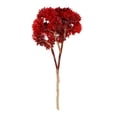 thumbnail image 1 of Artificial Rice Seed Fruit Flower Rustic Fake Flower Wedding decor artificial rice seed Party Floral Decor Home Ornament, Red, 1 of 6