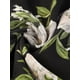 thumbnail image 5 of INSPIRE CHIC Vestido Camisero Floral Elegante para Mujeres con Cuello en V, Manga 3/4, Con Cinta Frontal, Vestido Fluido de Chifón, M Negro, 5 of 6