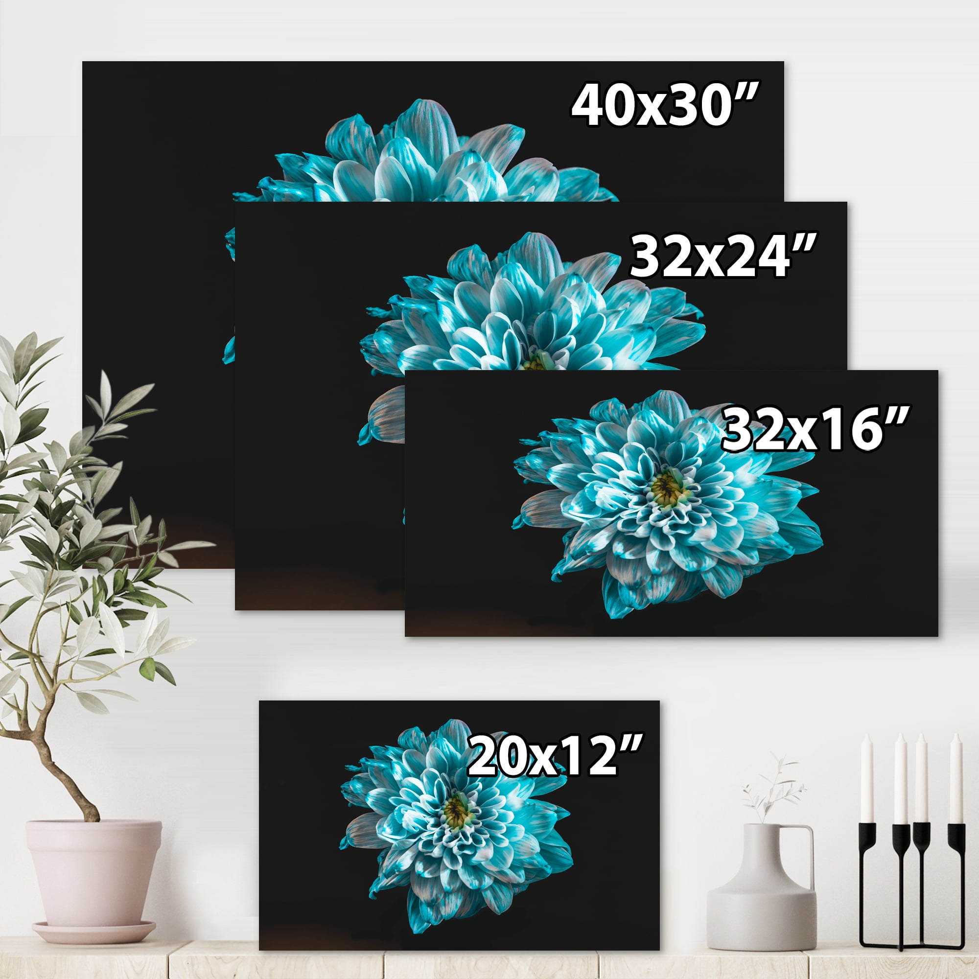Designart ' Close Up Of Flower With White and Blue Petals ' Traditional Canvas Wall Art Print