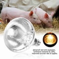 thumbnail image 4 of SUTENGDA Waterproof Pig Heat Lamp  200W Explosion-Proof Light Bulb with Dot Surface  Thick Piglet Design for Sturdy Use  1PC Piglet Heat Lamp Bulb for Safe and Reliable Lighting, 4 of 9