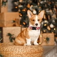 thumbnail image 3 of Collar para perro Aring Pet ajustable a cuadros rojos y verdes de 40,6 a 60 cm, 3 of 5