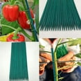 thumbnail image 3 of 50 Pcs Wooden Plant Stakes, Garden Floral Plant Support Sticks for Indoor Outdoor Plants, Small Plant Stakes for Tomatoes Peppers Green Vine Plants Decor Extending Flowers and Leaf Stems (18 inch), 3 of 7