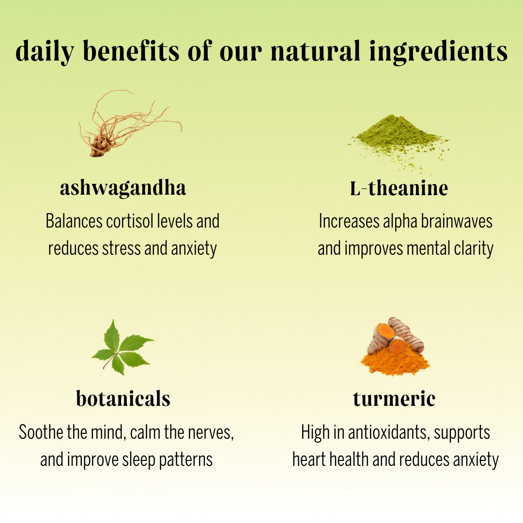 Moment Botanical Water, Lemon Turmeric, Sparkling, Zero Added Sugar, 12 Pack, 11.5 fl oz - 2