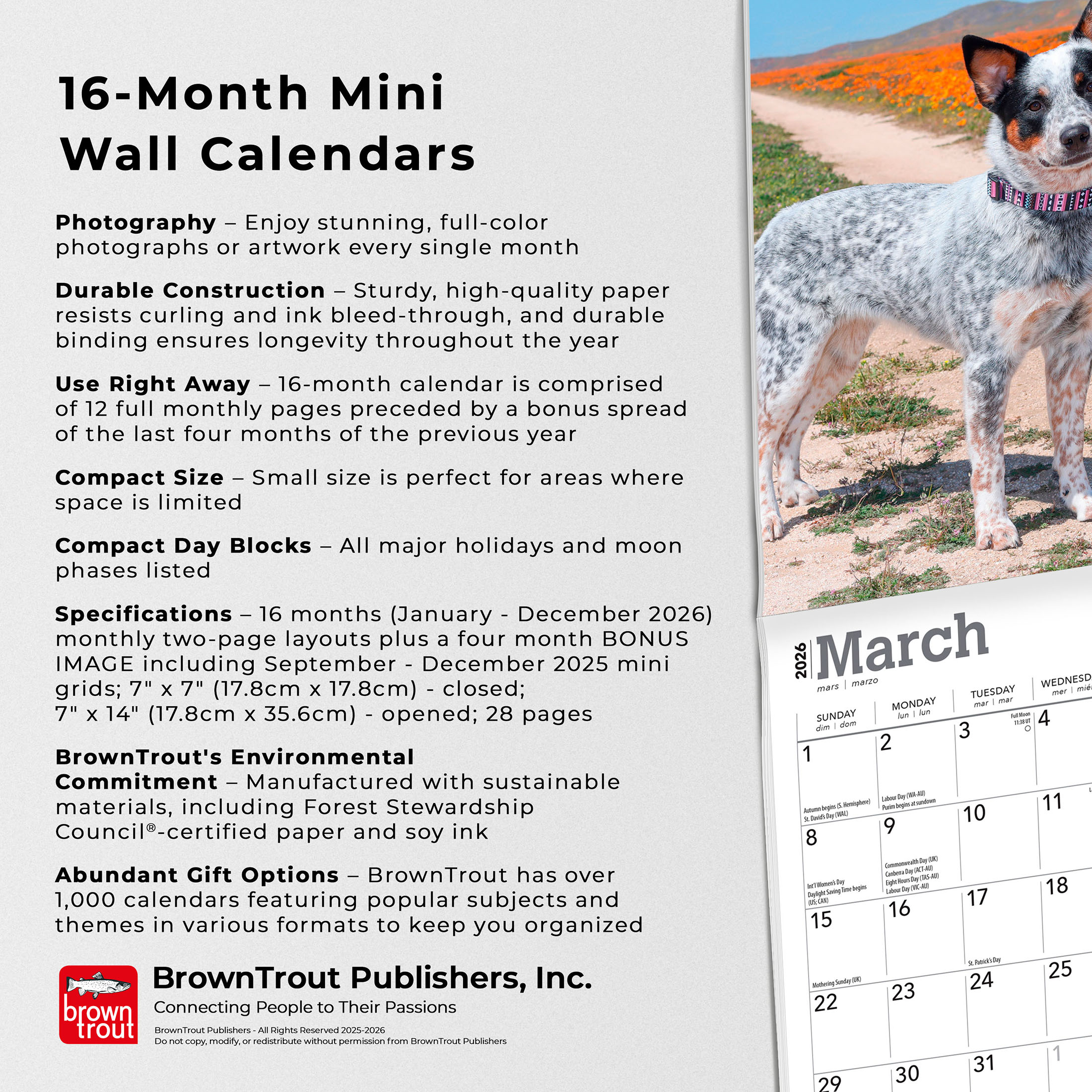 Australian Cattle Dogs | 2026 7x14" (Hanging) Mini Wall Calendar | BrownTrout