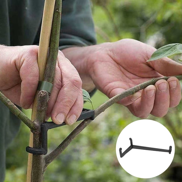 Esparcidor de ramas de frutas ANGGREK de plástico negro para plantas en maceta 40 x 90 x 10 mm