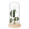 thumbnail image 1 of Lámpara De Rosa Romántica Con Cubierta De Cristal Doom Base De Madera Hecha A Mano Luz De Rosa Para Siempre Para El Día De San Valentín Día De La Madre matsuzay HA020932-00, 1 of 5