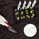 thumbnail image 4 of Pack Bandeja de Plántulas YONGSHENG Mini Invernadero para Germinación 12 Celdas, 4 of 4