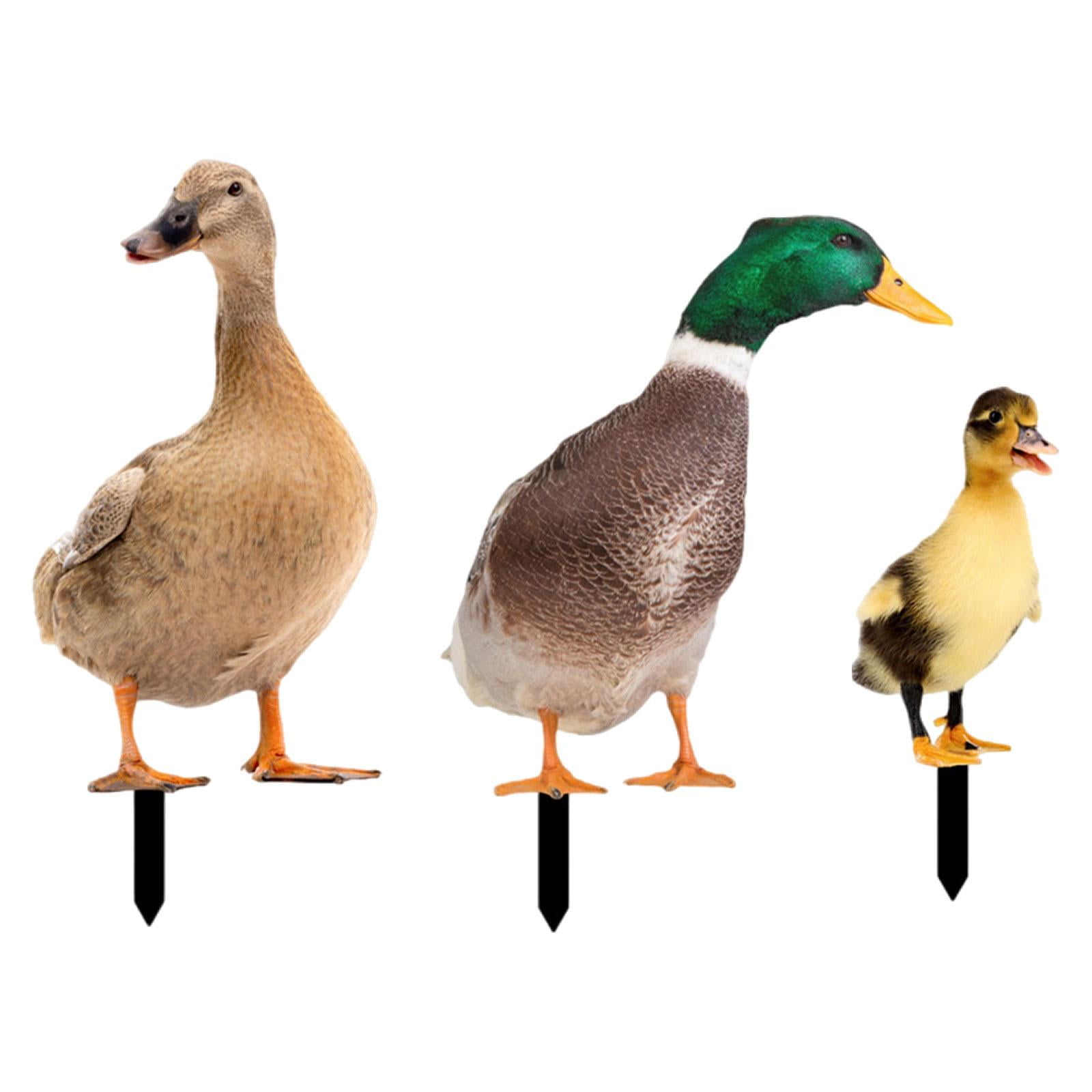 3Pcs Duck Animal Statue Stakes, Garden Stakes Decorative, Floor Decoration Ornaments, Duck Garden Statue for Porch Patio Yard Art Sculpture