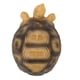 thumbnail image 5 of Adorno de tortuga, figura de animal de mascota, resina, decoración del hogar para peces, acuario, 5 of 14