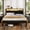 Black Oak, variant on Dayago Twin Size LED Bed Frames with Charging Station and Storage Headboard, Upholstered Metal Platform Bed, Noise Free, Black