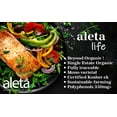 thumbnail image 3 of Aleta, Organic PDO Extra Virgin Olive Oil, Certified Single Estate Messara Valley Greece, Award-Winning First-Cold Press, Traceable & Kosher, 1 Lt (33.8 oz.) Tin, 3 of 9