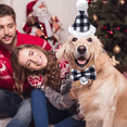 thumbnail image 5 of Christmas Dog Costume ,for Small Medium Dogs Cats, 5 of 5