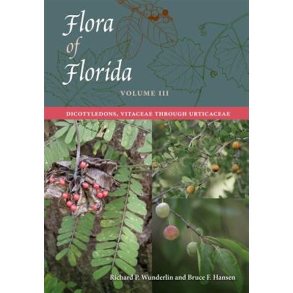 Pre-Owned Flora of Florida: Volume III: Dicotyledons, Vitaceae Through Urticaceae: 3 Paperback