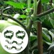 thumbnail image 2 of 50 piezas de clips de soporte para plantas, clips de plástico para tomates, clips para plantas, clips de soporte para jardín, clips verdes para jardín, 2 of 3