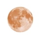 thumbnail image 1 of Luminous Wall Decal 20cm Brown Moon Shape Wall Sticker Glow In The Dark Bedroom Living Room Kids Room 1Pcs, 1 of 3