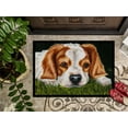 thumbnail image 3 of Carolines Treasures AMB1395JMAT Cavalier Spaniel Tapis Intérieur Ou Extérieur - 24 x 36, 3 of 4