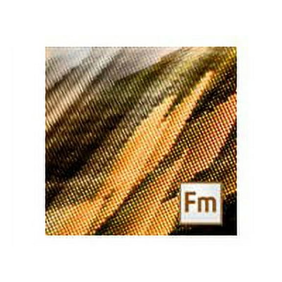 Adobe 65228343 Framemaker V12