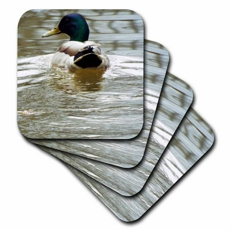 

3dRose The Swimming Duck - Soft Coasters set of 4