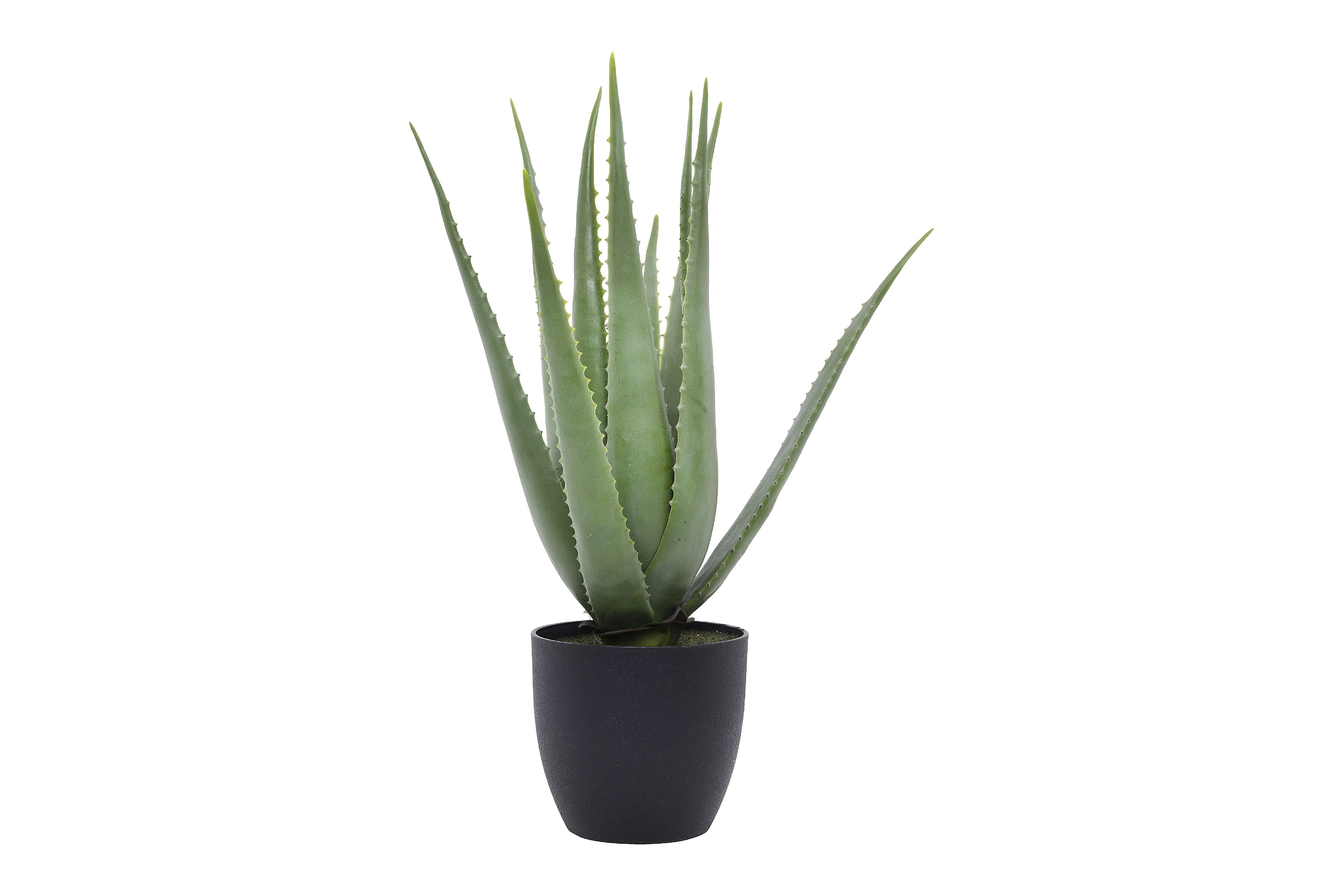 Creative CoOp Faux Aloe Plant in Pot