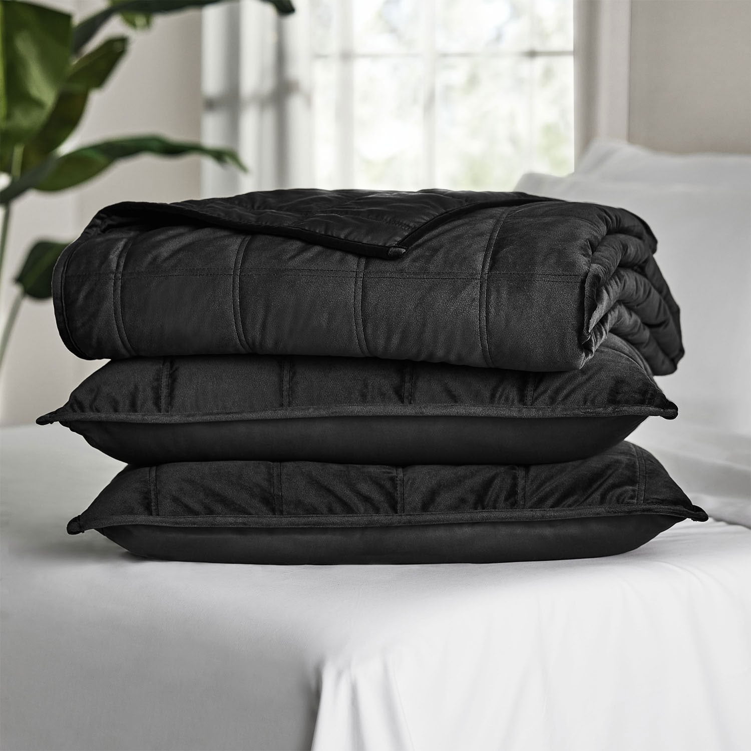 Member's Mark 3-Piece Velvet Box Quilt Set, Assorted Sizes