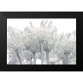 thumbnail image 2 of Frank, Assaf 24x17 Black Modern Framed Museum Art Print Titled - African Lily flowers, 2 of 5