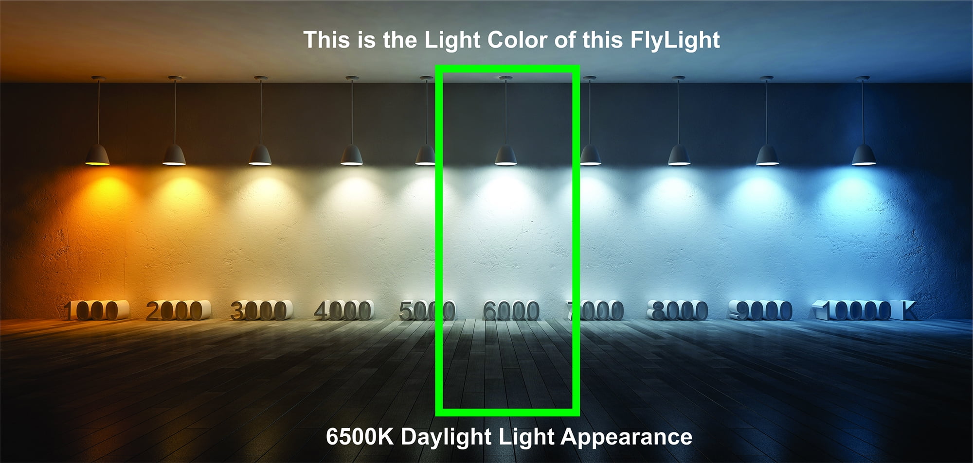 CLEANRTH FLYLIGHT™ | 75-watt DAYLIGHT LED Light Bulb that Vacuums & Traps Flying Bugs to Create Insect Fly Control